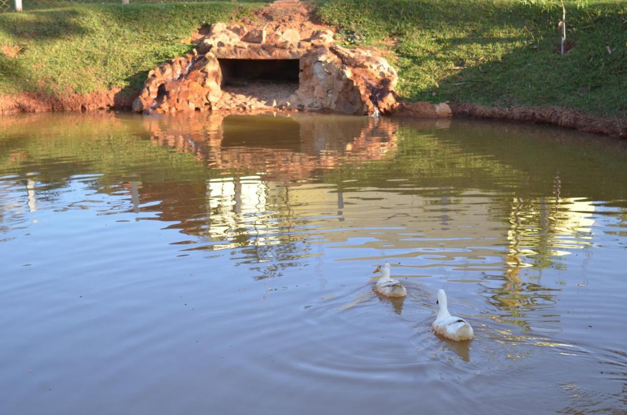 Pousada Coqueiro Verde Minas Gerais Mateus Leme Esterno foto